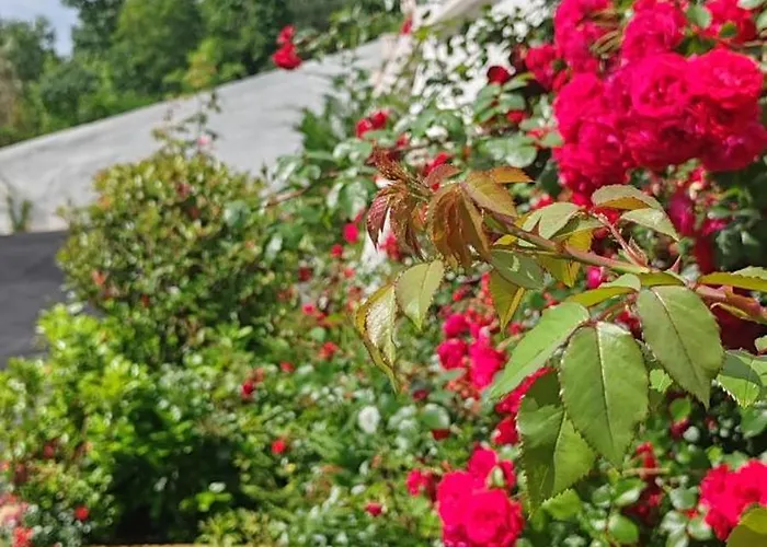 Apart-hotel Sea Point La 4*