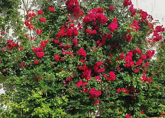 Sea Point La 4* Golden Sands